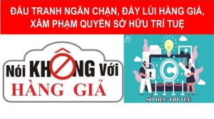 Đấu tranh ngăn chặn, đẩy lùi tình trạng buôn lậu, gian lận thương mại, hàng giả, xâm phạm quyền sở hữu trí tuệ lĩnh vực văn hoá