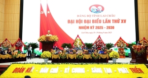 Đại hội Đại biểu lần thứ XV, nhiệm kỳ 2025-2030