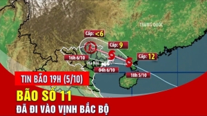 Thông báo về việc Chủ động ứng phó với mưa lớn, sạt lở đất, lũ ống, lũ quét do ảnh hưởng của bão số 11 và hoàn lưu bão