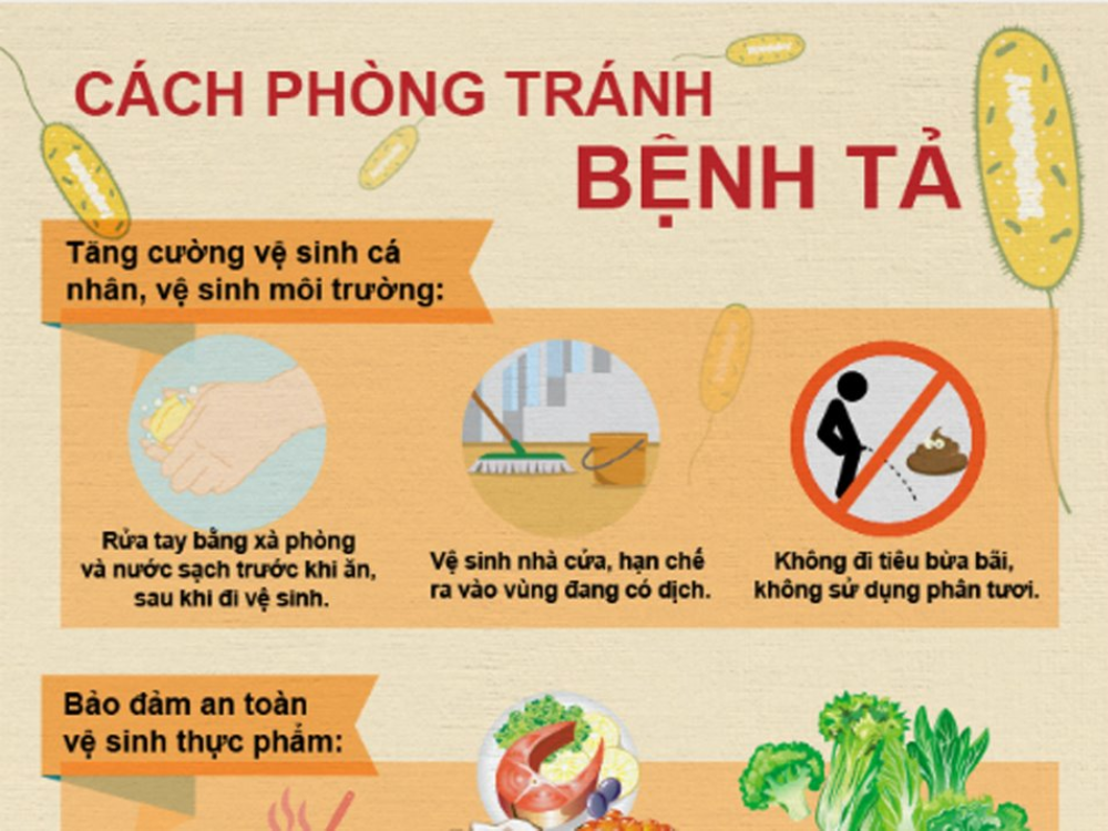 PHÒNG, CHỐNG BỆNH TẢ TRÊN ĐỊA BÀN XÃ
