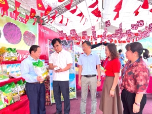 Đồng chí Tống Thanh Hải- Phó chủ tịch thường trực UBND tỉnh, Trưởng ban tổ chức ngày hội thăm các gian hàng giới thiệu sản phẩm của các xã