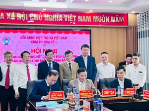 Hội nghị giao ban và tổng kết công tác thi đua, khen thưởng Cụm Thi đua số 1 năm 2025